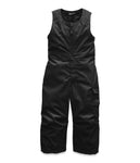 The North Face Toddler Insulated Bib Pant - All Out Kids Gear